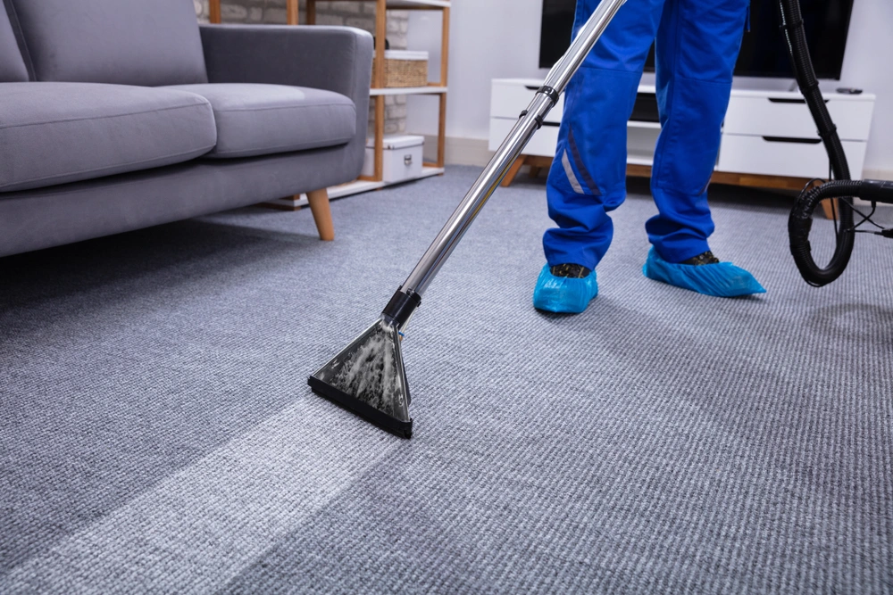 cleaner cleaning the carpet